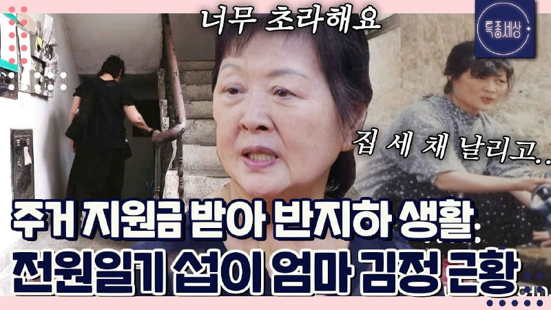 전원일기 1,000편 가량.. 모은 돈 다 날리고 반지하 생활하는 섭이 엄마 김정｜특종세상 650회